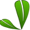 Azalea hybrid 'Lilac Lights'